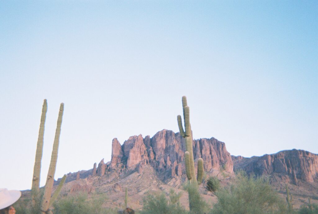 Cacti and jagged red mountains are shown against a pale blue sky.